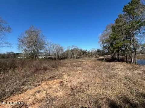 Sawmill Road, Sandy Hook, MS 39478 photo 17