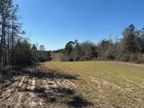 Sawmill Road, Sandy Hook, MS 39478 photo 42