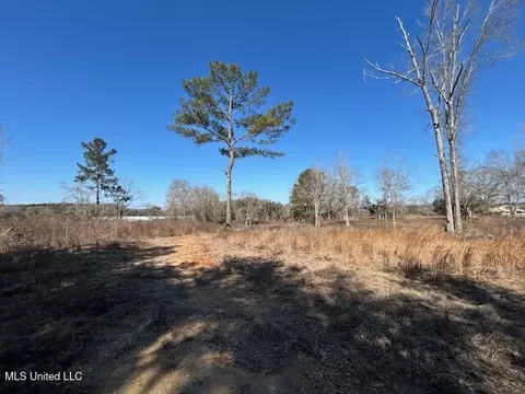 Sawmill Road, Sandy Hook, MS 39478 photo 15