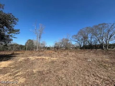 Sawmill Road, Sandy Hook, MS 39478 photo 14