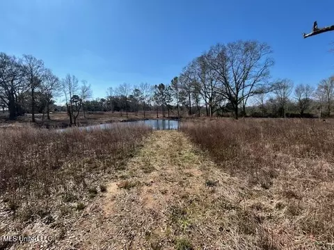 Sawmill Road, Sandy Hook, MS 39478 photo 8