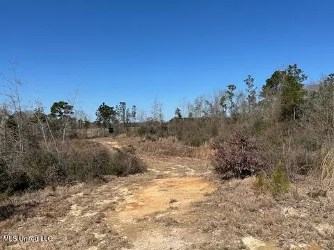 Sawmill Road, Sandy Hook, MS 39478 photo 40