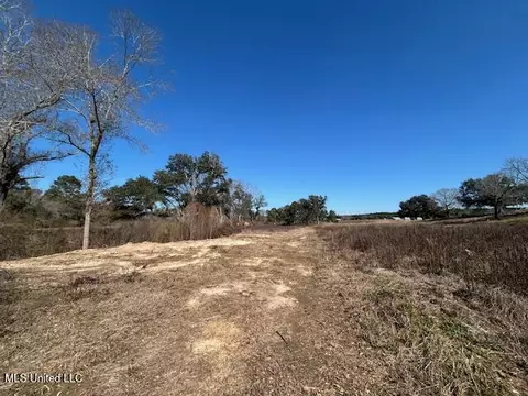 Sawmill Road, Sandy Hook, MS 39478 photo 20