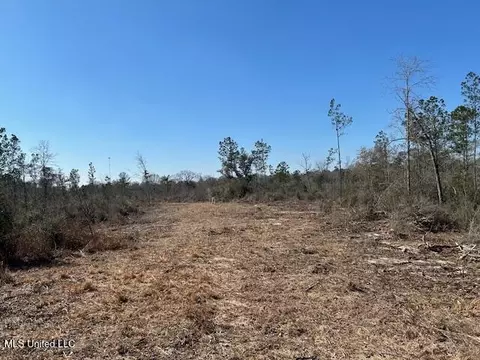 Sawmill Road, Sandy Hook, MS 39478 photo 38