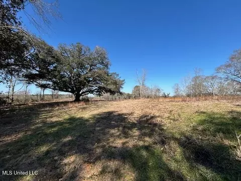 Sawmill Road, Sandy Hook, MS 39478 photo 12