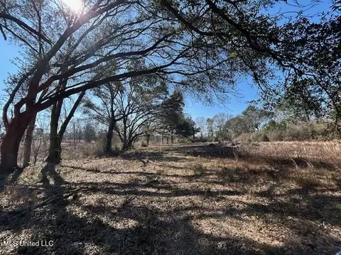 Sawmill Road, Sandy Hook, MS 39478 photo 24
