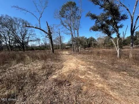 Sawmill Road, Sandy Hook, MS 39478 photo 7