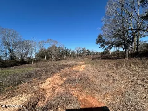Sawmill Road, Sandy Hook, MS 39478 photo 18