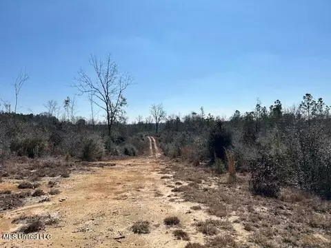 Sawmill Road, Sandy Hook, MS 39478 photo 44