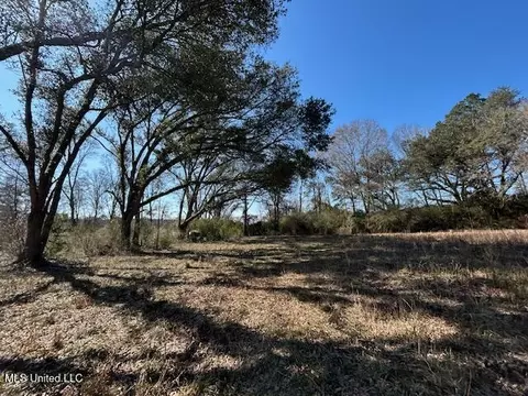 Sawmill Road, Sandy Hook, MS 39478 photo 25