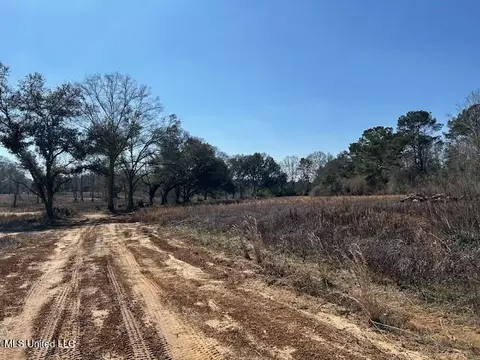 Sawmill Road, Sandy Hook, MS 39478 photo 49
