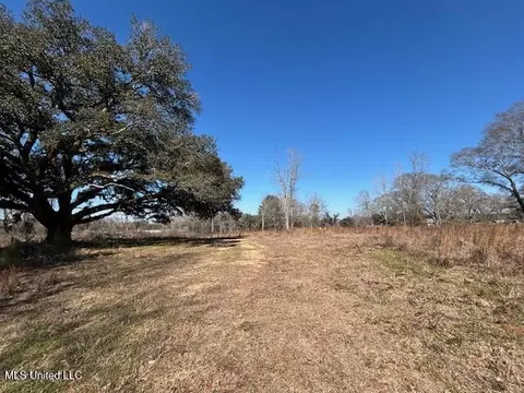 Sawmill Road, Sandy Hook, MS 39478 photo 13