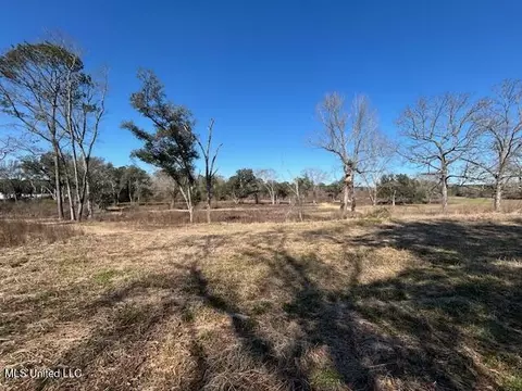 Sawmill Road, Sandy Hook, MS 39478 photo 3