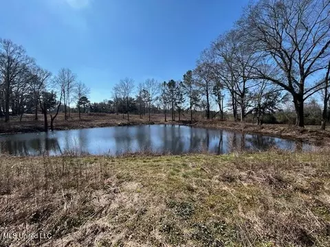 Sawmill Road, Sandy Hook, MS 39478 photo 9