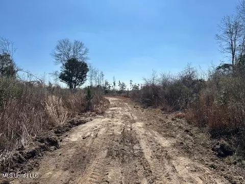 Sawmill Road, Sandy Hook, MS 39478 photo 45