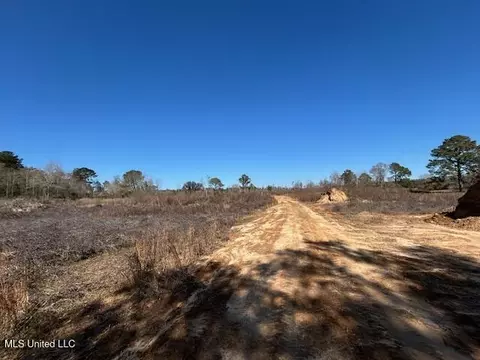 Sawmill Road, Sandy Hook, MS 39478 photo 29