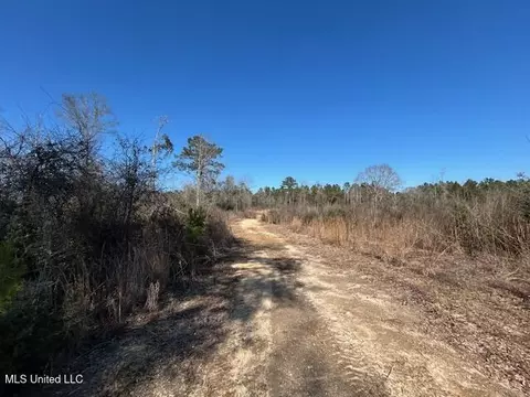 Sawmill Road, Sandy Hook, MS 39478 photo 34