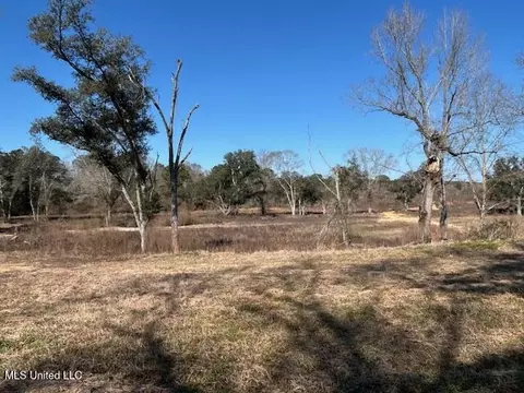 Sawmill Road, Sandy Hook, MS 39478 photo 4