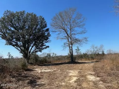 Sawmill Road, Sandy Hook, MS 39478 photo 35