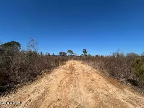 Sawmill Road, Sandy Hook, MS 39478 photo 31