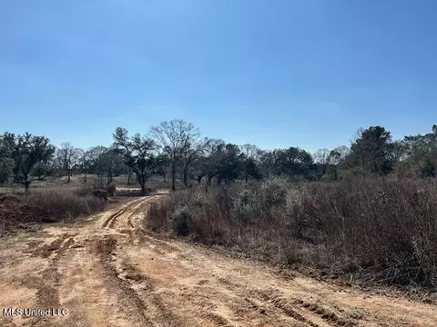 Sawmill Road, Sandy Hook, MS 39478 photo 48