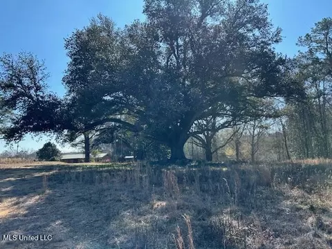Sawmill Road, Sandy Hook, MS 39478 photo 50