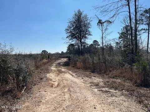 Sawmill Road, Sandy Hook, MS 39478 photo 47