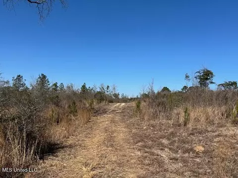 Sawmill Road, Sandy Hook, MS 39478 photo 39