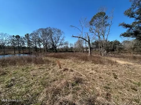 Sawmill Road, Sandy Hook, MS 39478 photo 6