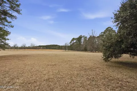 Exterior - 288 Morgan Rd, Canton, MS 39046 photo 11 of 11