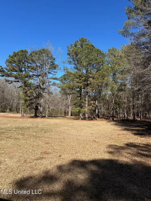Exterior - 288 Morgan Rd, Canton, MS 39046 photo 4 of 11