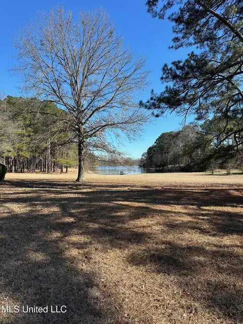 View/Area - 288 Morgan Rd, Canton, MS 39046 photo 1 of 9