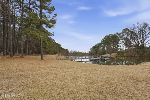 View/Area - 288 Morgan Rd, Canton, MS 39046 photo 7 of 9