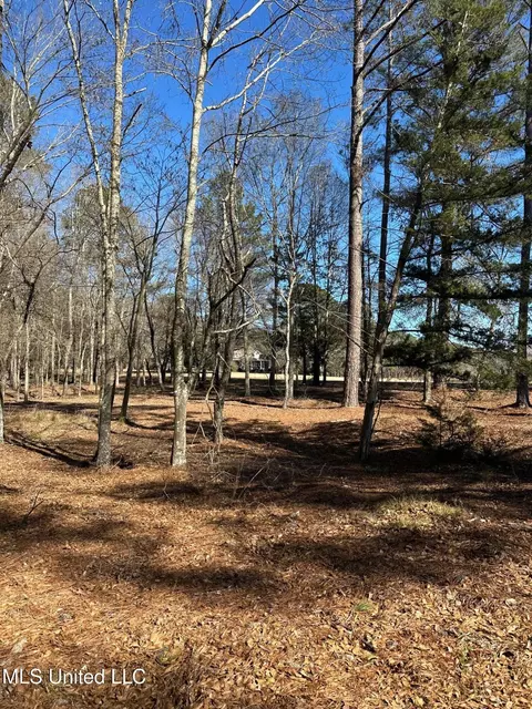 Exterior - 288 Morgan Rd, Canton, MS 39046 photo 3 of 11
