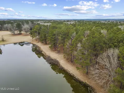 View/Area - 288 Morgan Rd, Canton, MS 39046 photo 5 of 9