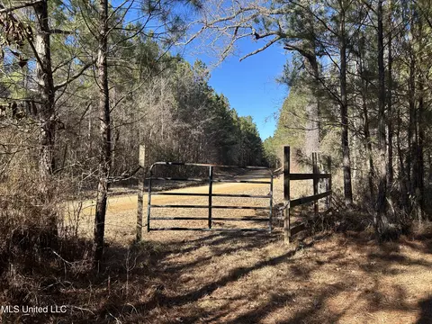 307 Willis Rd, Decatur, MS 39327 photo 2