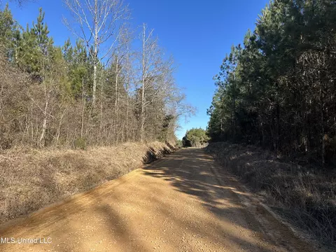 307 Willis Rd, Decatur, MS 39327 photo 17