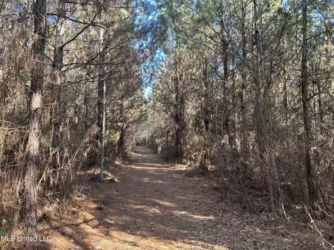 307 Willis Rd, Decatur, MS 39327 photo 6