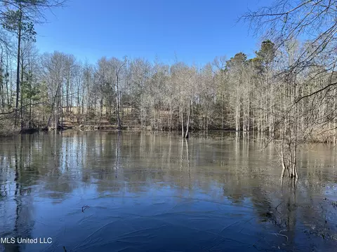 307 Willis Rd, Decatur, MS 39327 photo 4