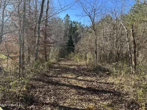 307 Willis Rd, Decatur, MS 39327 photo 7