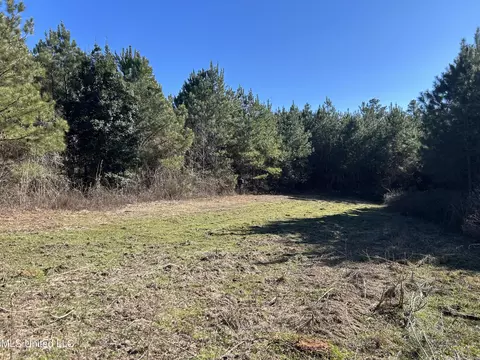 307 Willis Rd, Decatur, MS 39327 photo 3