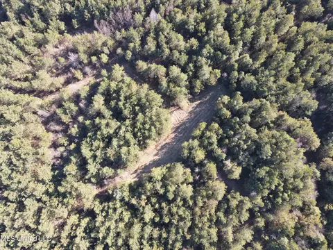 307 Willis Rd, Decatur, MS 39327 photo 21