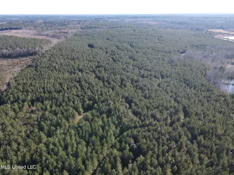 307 Willis Rd, Decatur, MS 39327 photo 20