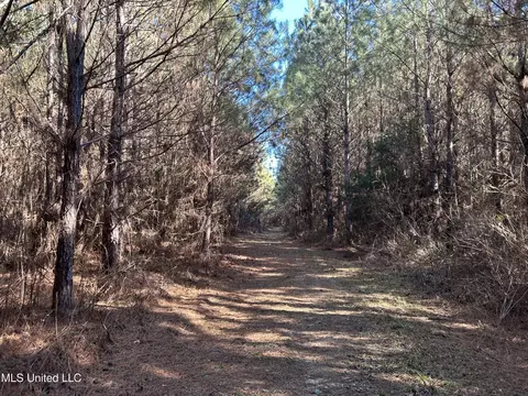 307 Willis Rd, Decatur, MS 39327 photo 15