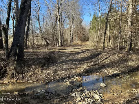 307 Willis Rd, Decatur, MS 39327 photo 5