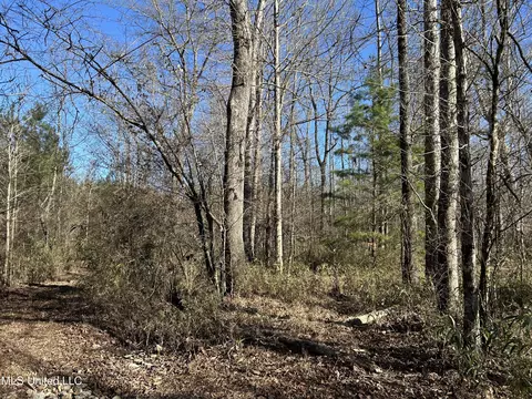 307 Willis Rd, Decatur, MS 39327 photo 16