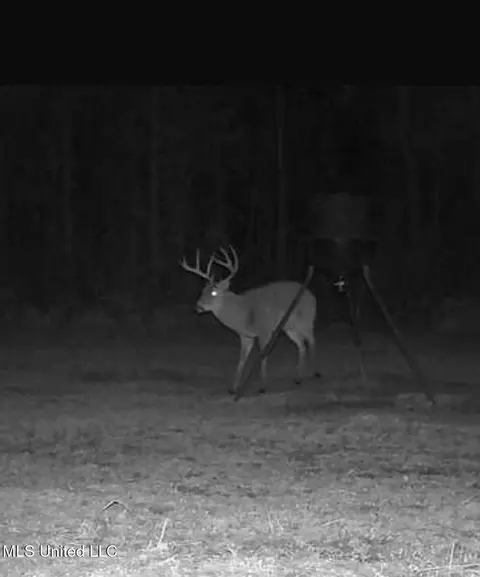 307 Willis Rd, Decatur, MS 39327 photo 36