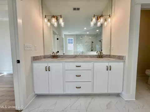 Bath - 1755 Bakersfield Way, Nesbit, MS 38651 photo 1 of 5