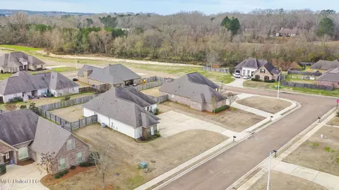 View/Area - 602 Belle Oak Ln, Brandon, MS 39042 photo 3 of 5