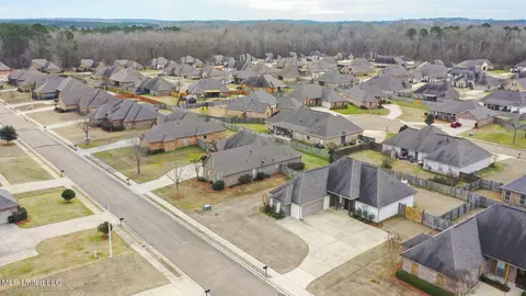View/Area - 602 Belle Oak Ln, Brandon, MS 39042 photo 4 of 5